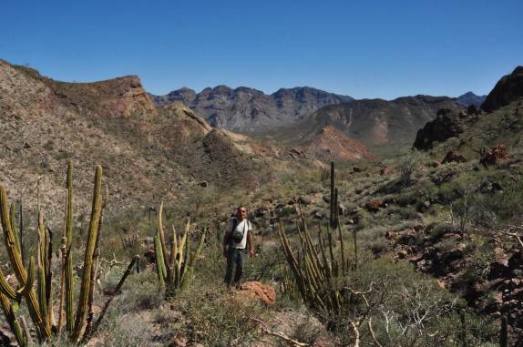 Subindo a Sierra de Santa Marta, região de San Ignacio, no deserto Vizcaino (Baja California - México)